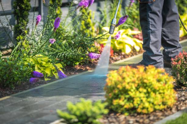 Best Gutter Cleaning  in Chittenango, NY